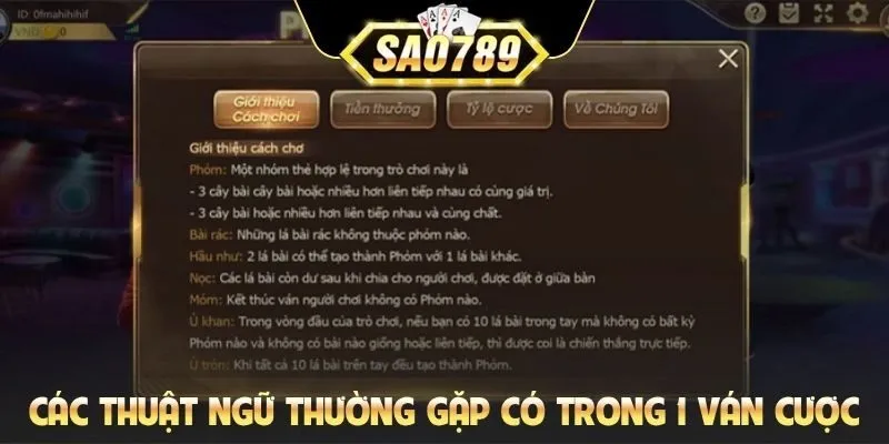 Các thuật ngữ thường gặp có trong 1 ván cược
