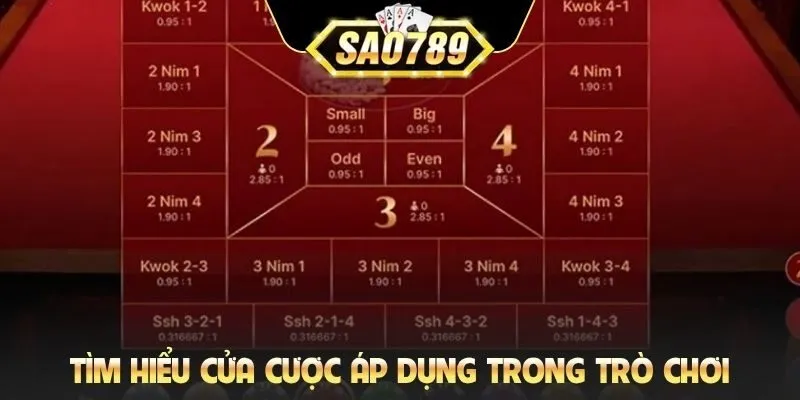 Tìm hiểu cửa cược áp dụng trong trò chơi